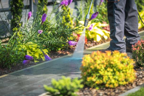Best Driveway Pressure Washing  in Washingtonville, NY